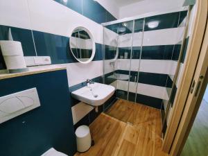 Koupelna v ubytování Apartmány Petrov, Baťův kanál