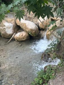 un arroyo de agua con rocas y árboles en Shivanjal stay, en Rishīkesh