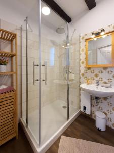 a bathroom with a shower and a sink at Friendly Home - Villa Verde in Bornheim