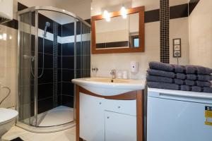 a bathroom with a sink and a shower at Masiarska Apartment 1 Best Adress In City Center Kosice in Košice