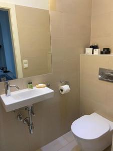 a bathroom with a toilet and a sink and a mirror at Luxury Serviced 3-Bedroom Flat in Vienna's 1st District in Vienna
