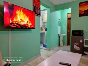 Televisor o centre d'entreteniment de The Obama Mansion #Jets Nest