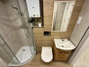 奥斯威辛Apartament Powstańców 17的带淋浴、水槽和马桶的浴室 更多19张照片