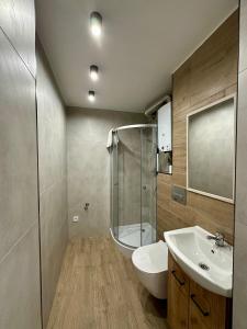 奥斯威辛Apartament Powstańców 17的带淋浴、马桶和水槽的浴室