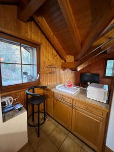 锡永Pleine altitude的小屋内的厨房配有柜台和水槽