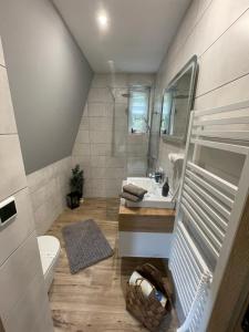 Kúpeľňa v ubytovaní Apartmány Klicperka + 32 fotografií