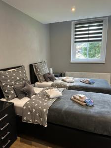 ein Schlafzimmer mit zwei Betten und einem Fenster in der Unterkunft Apartmány Klicperka in Liberec