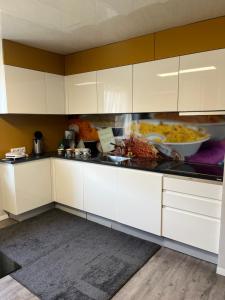 Kuchyňa alebo kuchynka v ubytovaní Gemütliche Wohnung/ cozy apartment Niklasdorf