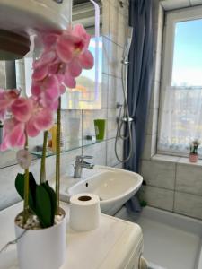 Kúpeľňa v ubytovaní Gemütliche Wohnung/ cozy apartment Niklasdorf