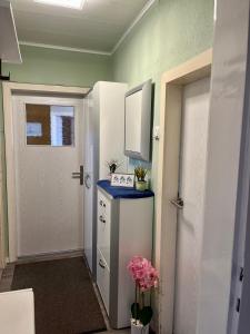 Kuchyňa alebo kuchynka v ubytovaní Gemütliche Wohnung/ cozy apartment Niklasdorf
