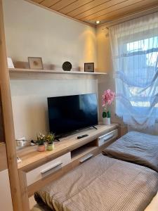 Televízia a/alebo spoločenská miestnosť v ubytovaní Gemütliche Wohnung/ cozy apartment Niklasdorf
