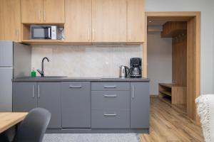 Kuchyň nebo kuchyňský kout v ubytování River ApartHouse Zakopane + 19 fotografií