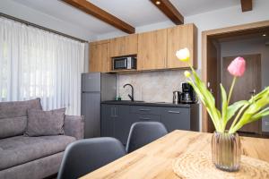 Kuchyň nebo kuchyňský kout v ubytování River ApartHouse Zakopane