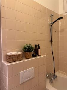 a bathroom with a shower with a plant on a shelf at Appartement au Plessis-Robinson in Le Plessis-Robinson