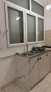 a kitchen with a sink and two windows at Appartement au Plessis-Robinson in Le Plessis-Robinson