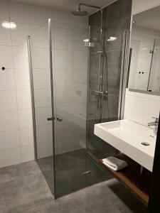ein Badezimmer mit Glasdusche und Waschbecken in der Unterkunft Wellnessappartement Winterberg D4 in Winterberg