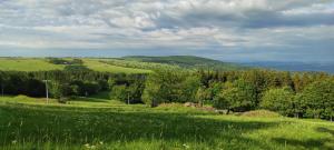 a green field with trees and hills in the background at SILVESTROVSKÁ HORSKÁ CHATA až pro 30 lidí in Horní Krupka