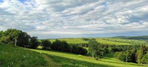 a green field with trees on a hill at SILVESTROVSKÁ HORSKÁ CHATA až pro 30 lidí in Horní Krupka