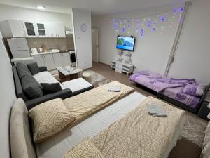 Sjónvarps- og/eða afþreyingartæki á Apartman Panda Priboj