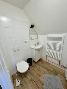 a white bathroom with a toilet and a sink at Nachtigal's Ore Mountains Residence in Kovářská