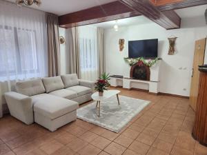 シナイアにあるHoliday Housesのソファとテレビのあるリビングルーム