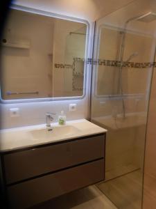 Un baño con lavabo y ducha con espejo. en Logement indépendant C & D, en Lorgues 17 fotos más