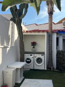 a washing machine in a backyard with a palm tree at Beach-Goretti House in Mairena del Aljarafe