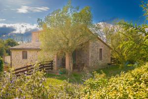 Zahrada ubytování Agriturismo Fattoria Walden