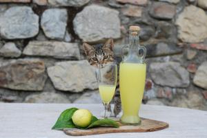 Nápoje v ubytování Agriturismo Fattoria Walden