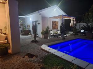 a swimming pool at night with a cat standing next to it at Acacia Home in Graaff-Reinet +11 photos