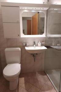 Vannituba majutusasutuses Apartment Mösli - Zimmerli by Interhome