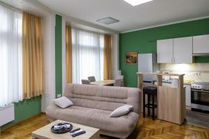 Kuchyň nebo kuchyňský kout v ubytování Apartman Priča