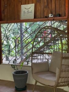 une chaise et une plante devant une fenêtre dans l'établissement La Amapola Lodge, Bungalow en Península de Osa., à Barrigones
