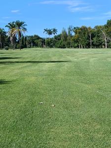 Golf v aparthotelu nebo okolí