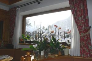 a window with a bunch of plants on a table at Albergo du Soleil in Cogne