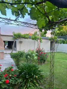a garden with flowers and plants in a yard at Casa catamarca in San Rafael +4 photos