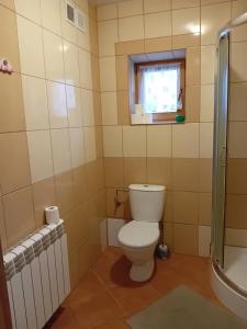 a bathroom with a toilet and a shower at Drewniany Domek in Witów +18 photos