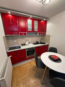 Kuchyň nebo kuchyňský kout v ubytování Apartment Infinity 2