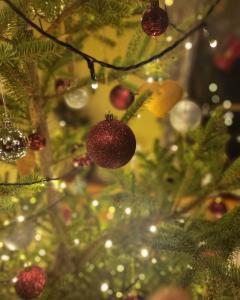 Fotografie z fotogalerie ubytování hotel ZLATÝ POTOK v destinaci Nicov + 96 fotografií