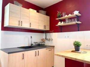 een keuken met een wastafel en een rode muur bij Charmant studio avec jardin, 2pers, centre-ville in Cauterets
