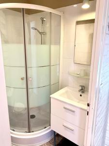 een badkamer met een douche en een wastafel bij Charmant studio avec jardin, 2pers, centre-ville in Cauterets