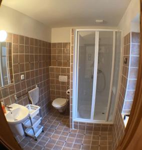 a bathroom with a shower and a toilet and a sink at Chata Paperule in Horní Maršov +26 photos