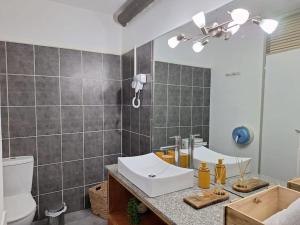 a bathroom with a sink and a toilet at L Opacarophile Studio Marina du Gosier in Le Gosier +4 photos