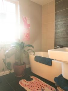 Fotografie z fotogalerie ubytování Luxury Studio Apartment - Belfast - Dundonald v destinaci Belfast