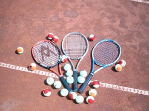 Tennis ja/või seinatennis majutusasutuses Park Hotel Faver või selle läheduses
