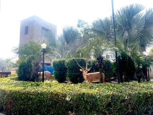 two statues of animals in a park with bushes at ZenRoofs- Brij Bhumi Haven in Vrindāvan