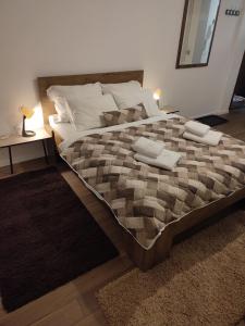 ヤホリナにあるApartmani vila Elenaの大型ベッド1台(枕2つ付)