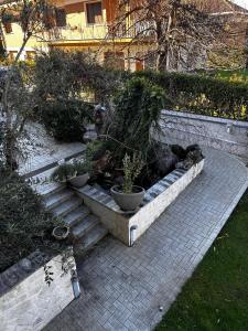 a garden with three potted plants and stairs at B&B La Voliera in Sulmona