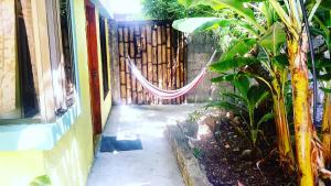 Gallery image of Galapagos Dove in Puerto Ayora +20 photos