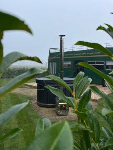 a green train on the tracks next to some plants at Bed&Bus met dakterras in Rucphen